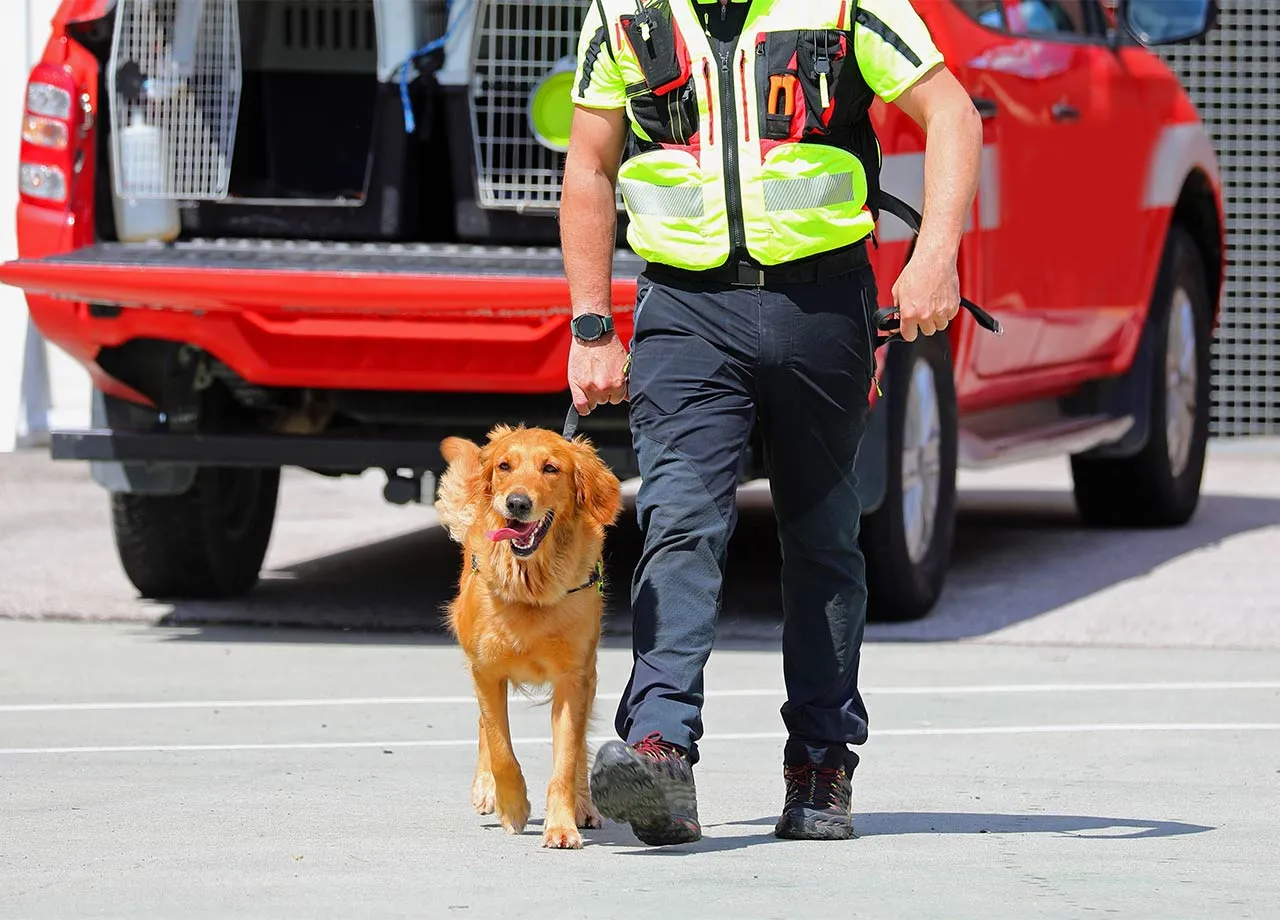 Kollision bei Vollalarm: Linksabbiegerin haftet für Zusammenstoß mit Hundestaffel