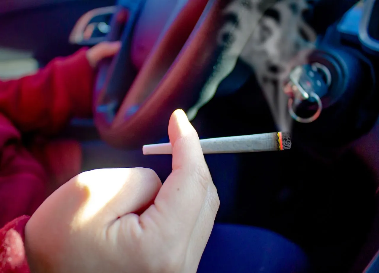 Söders harter Kurs: Bei Cannabis ist Bayern besonders streng