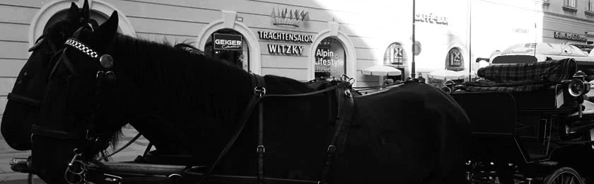 Pferd auf Blitzerfoto schützt Autofahrer