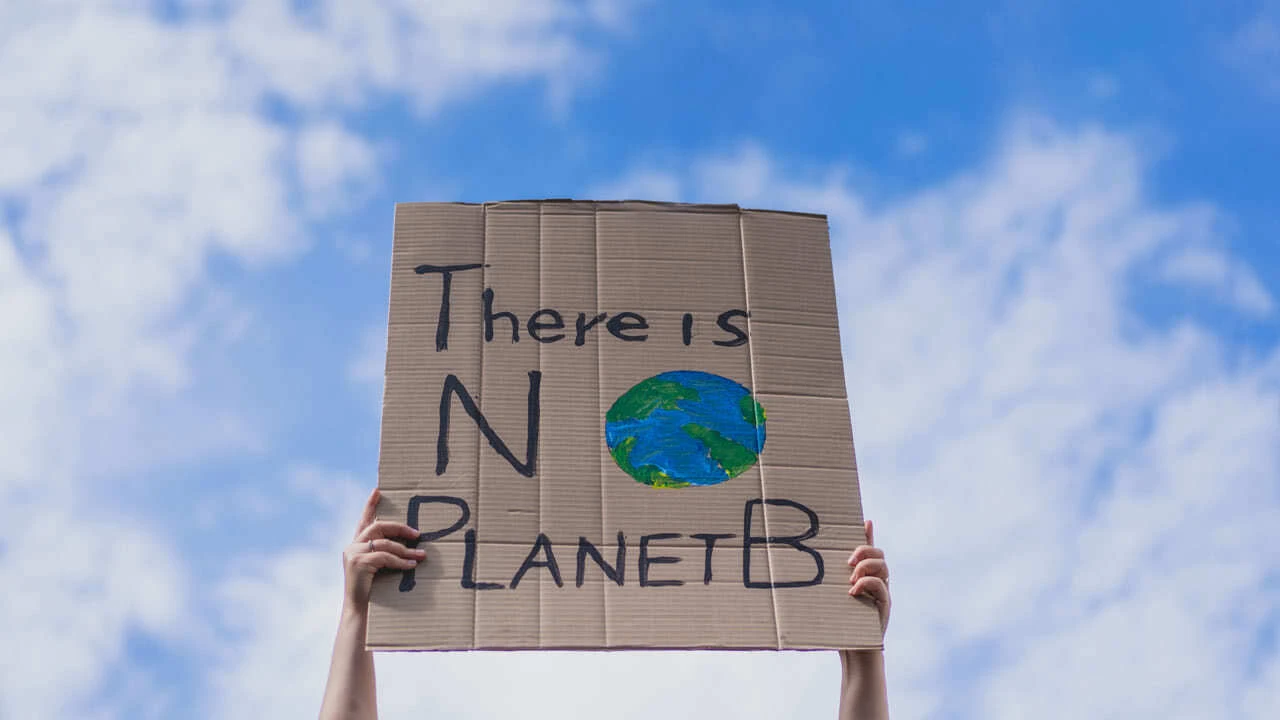 Renaults neue Autowerbung geht nach hinten los