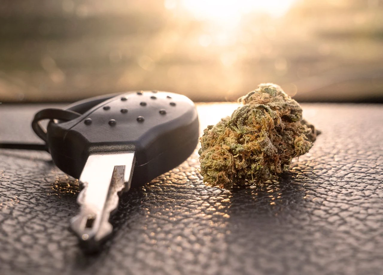 Bekifft am Steuer? Neuer THC-Grenzwert vorgeschlagen