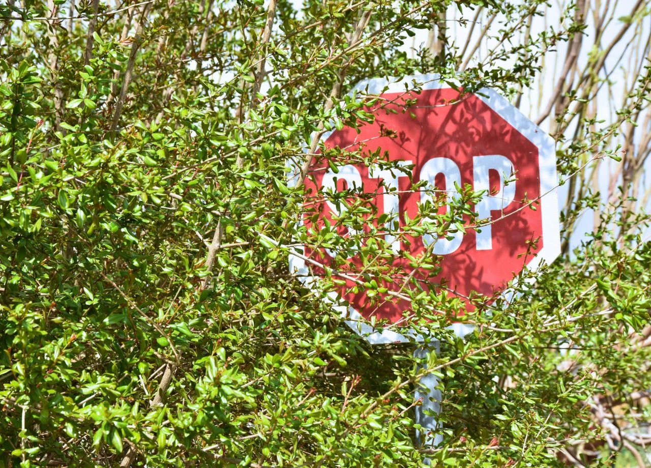 Bußgeld trotz verdecktem Verkehrsschild? So können Sie sich wehren
